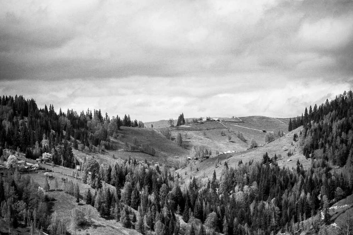 Veniam dolor et numquam consequatur